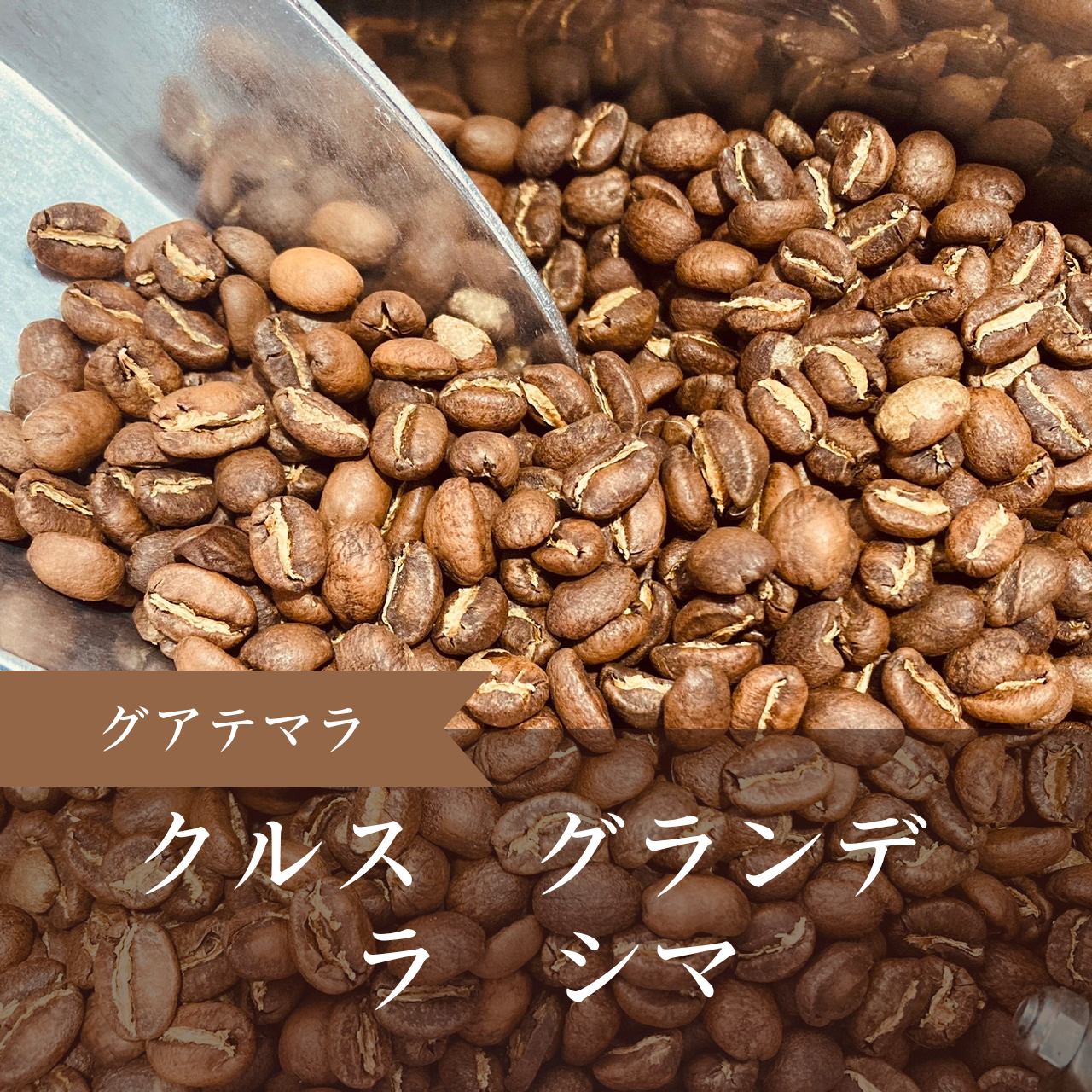 グアテマラ クルス グランデ ラ シマ 中深煎り