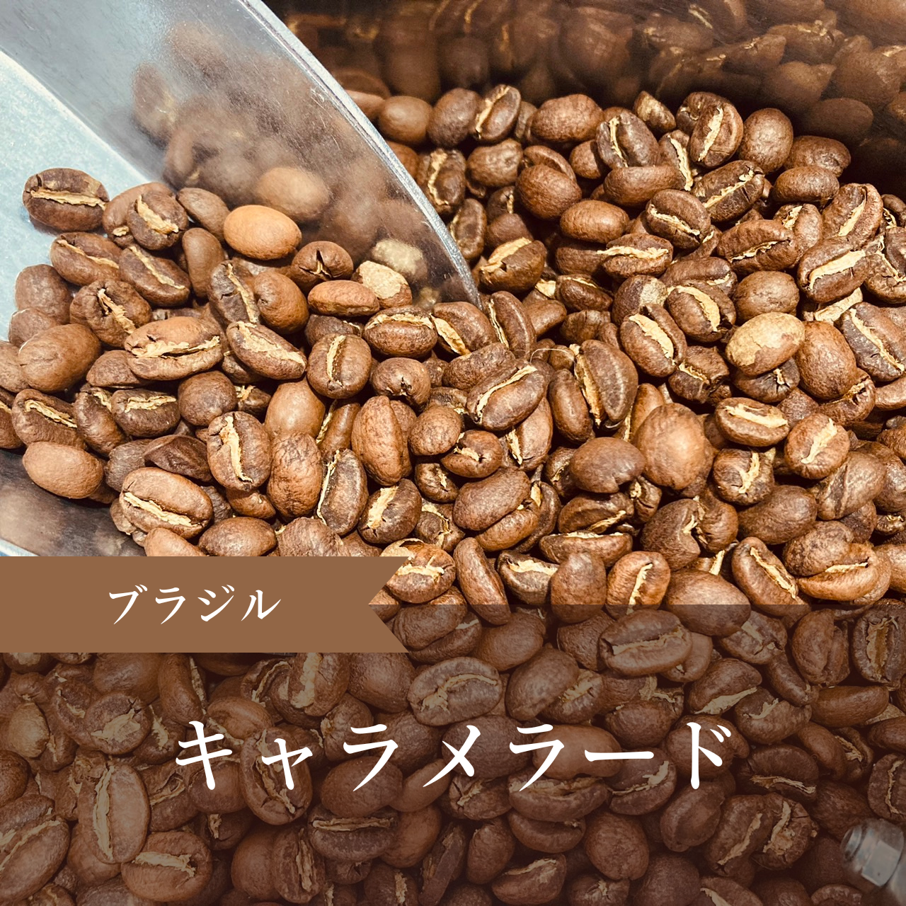 ブラジル キャラメラード 中深煎り