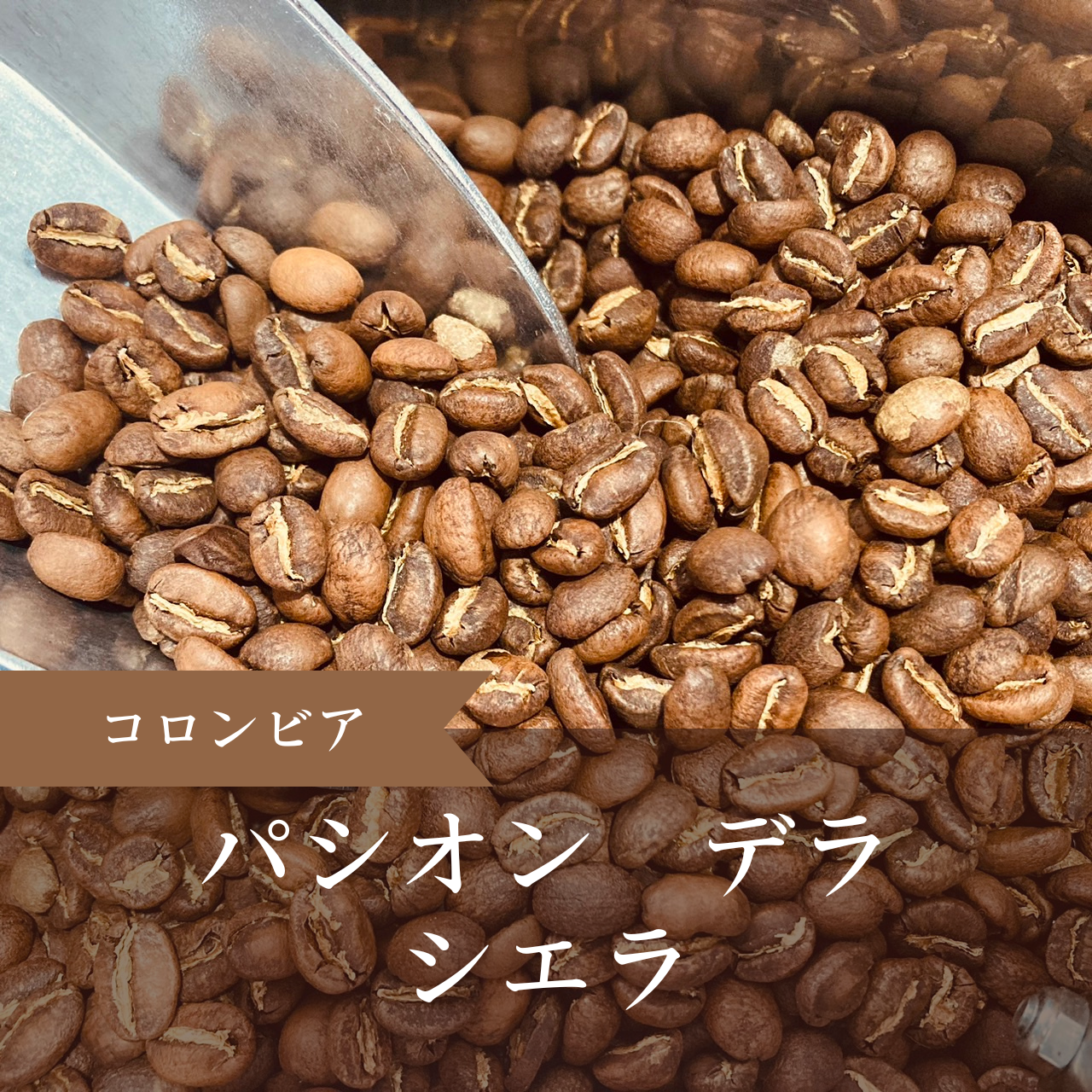 コロンビア・パシオン デラ シエラ